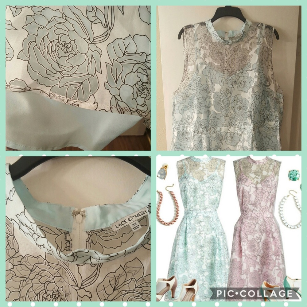 Lace and mesh dress